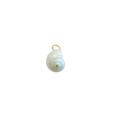Cobia Charm
