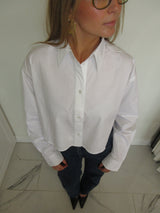 Folio button down