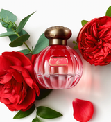 TOCCA Eau de Parfum 50ml