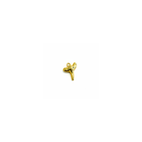 Shark Tooth Charm